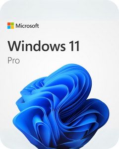 Microsoft Windows 11 Professional Retail Key